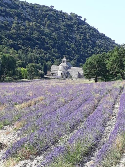 Bastidon Plein Sud Villa Gordes Buitenkant foto